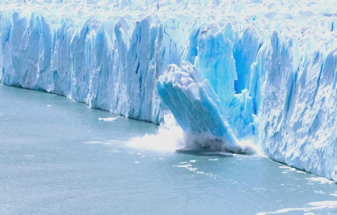 北極都熱到穿短袖了