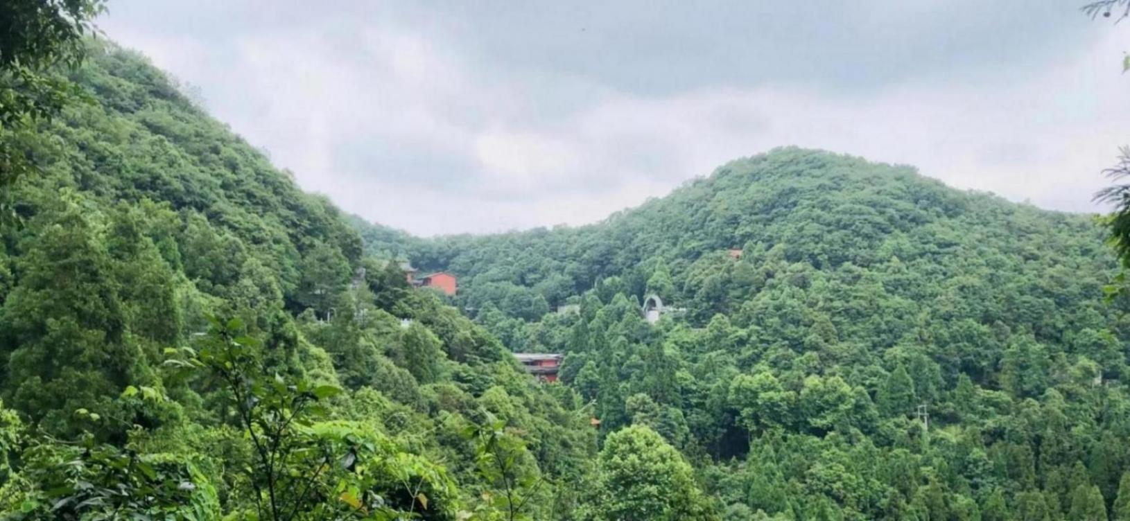 育兒補貼“含金量”有多高