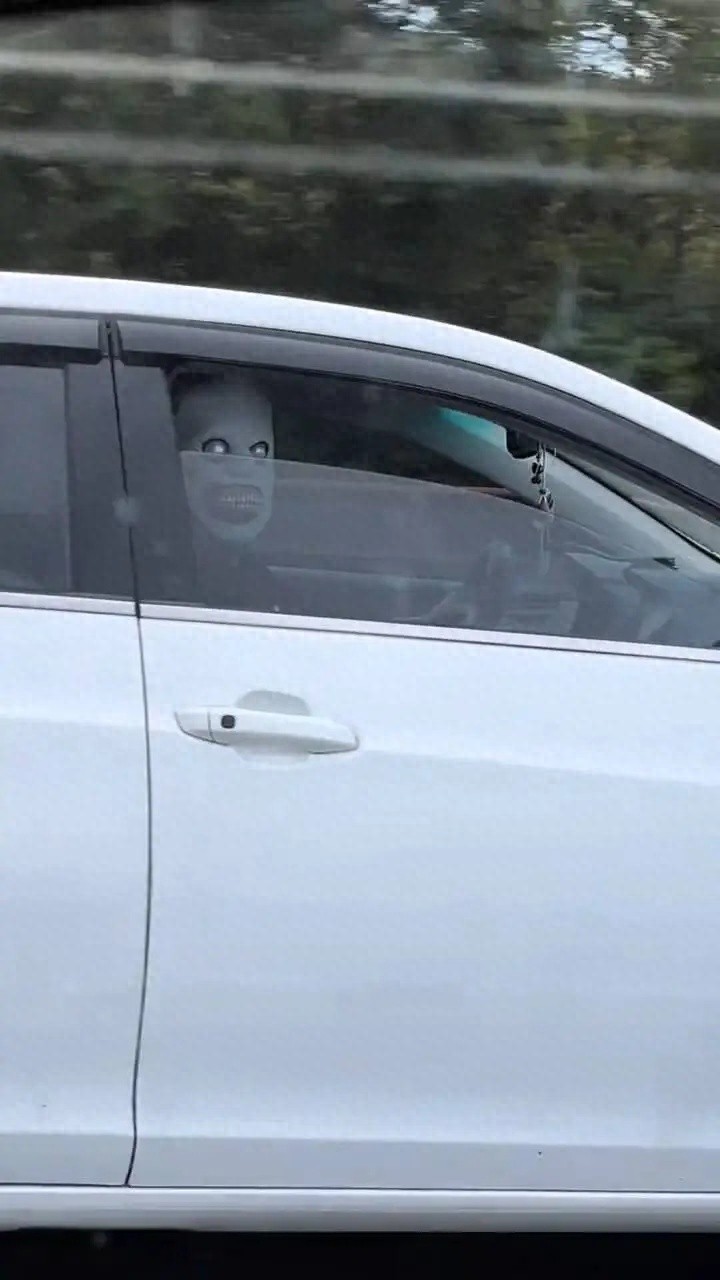 高速上有人戴恐怖面具嚇過路車輛